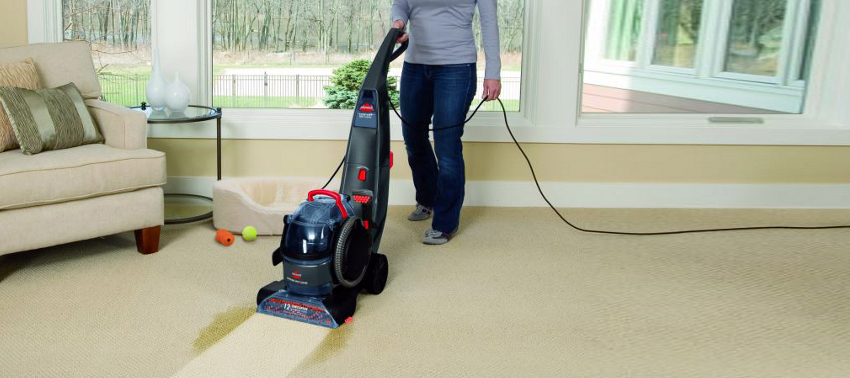 steam carpet cleaning