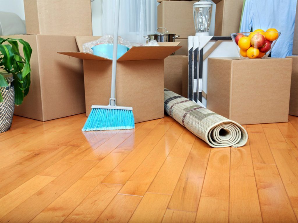 How To Start Your Own Carpet Cleaning Business – DigitalSevaa.Com (Follow  us for latest Digital Marketing Trends,Tips,Products and More)