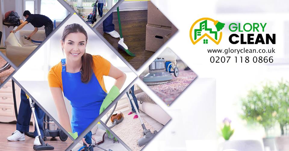 Professional Cleaning Services 