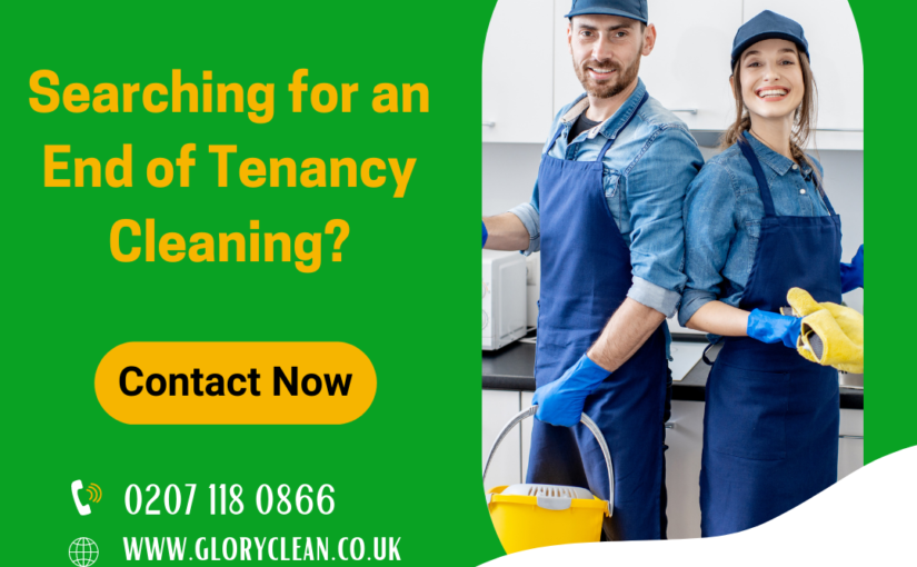 Professional End of Tenancy Cleaning Service: Your Questions & Our Answered