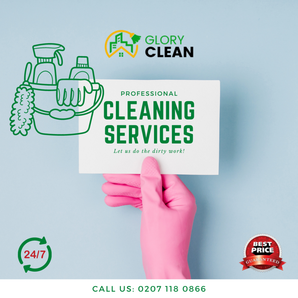 professional cleaning Services