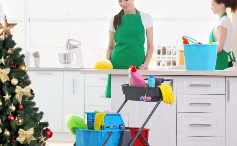 The Basics of Professional Move-Out Cleaning