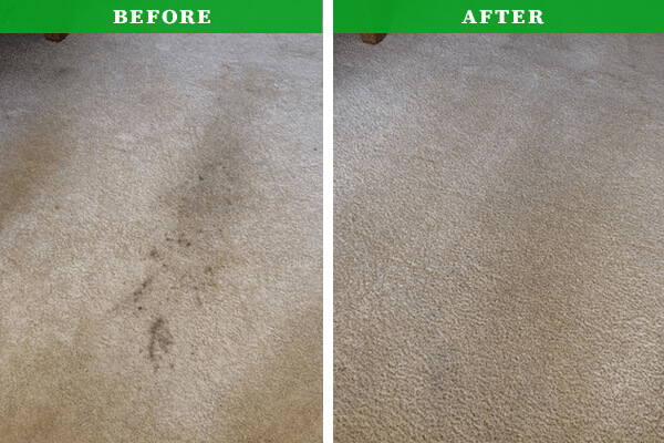 Before & After Carpet Cleaning Service Fulham