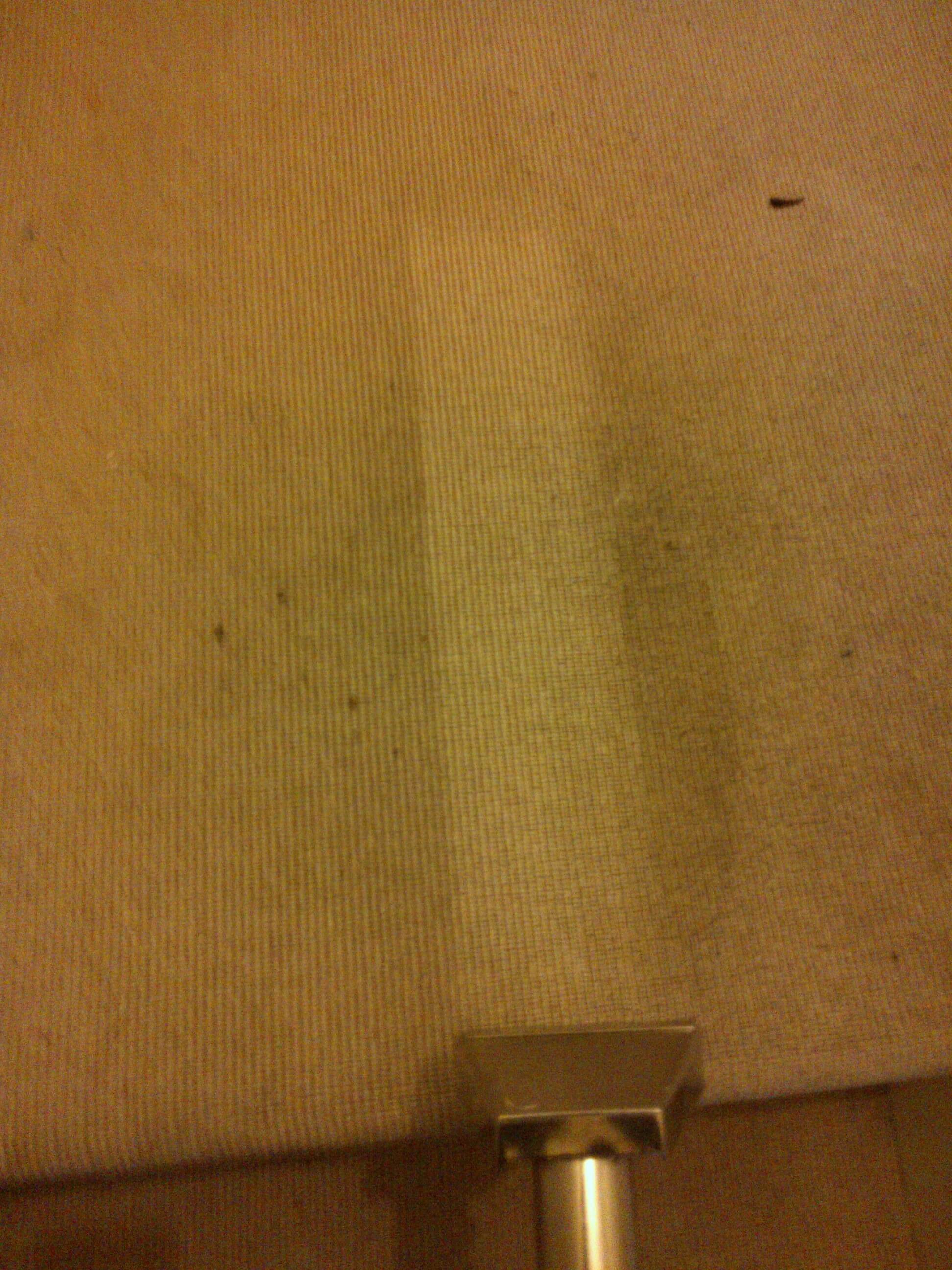 carpet steam cleaning tooting